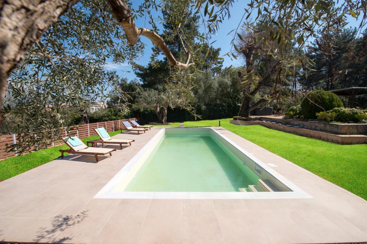 Spyrelia Villa With Private Pool & Outdoor Hot Tub Dassia  Exterior foto