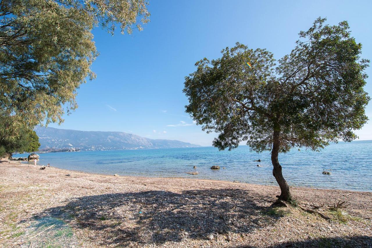 Spyrelia Villa With Private Pool & Outdoor Hot Tub Dassia  Exterior foto